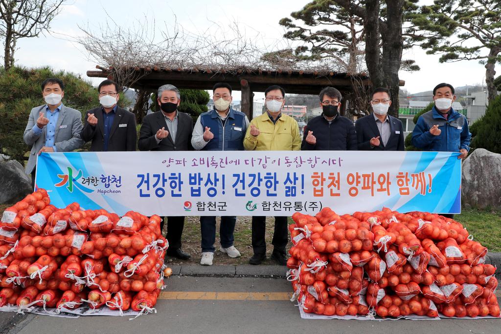 합천군 공무원 저장양파 사주기 운동 앞장!