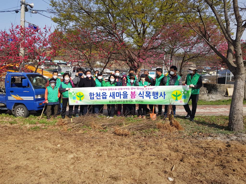 합천읍 새마을협의회 , 식목일기념 나무심기 행사 진행