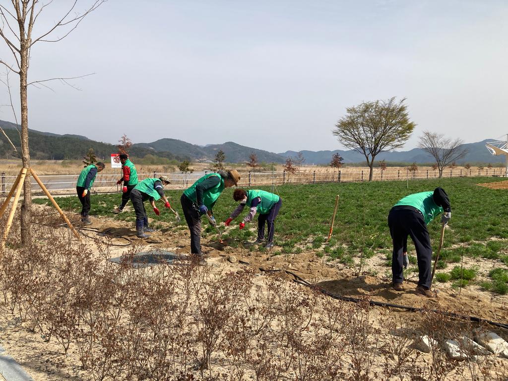 율곡면 새마을협의회·부녀회 나무심기 행사 개최
