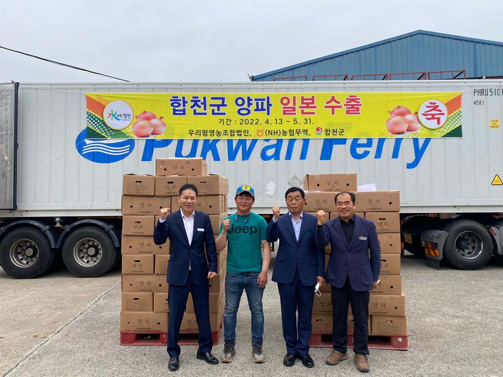 합천군 양파, 일본 수출로 정면 돌파!