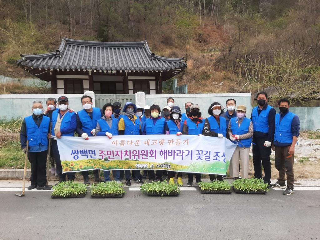 쌍백면 주민자치위원회 해바라기 모종 식재에 구슬땀