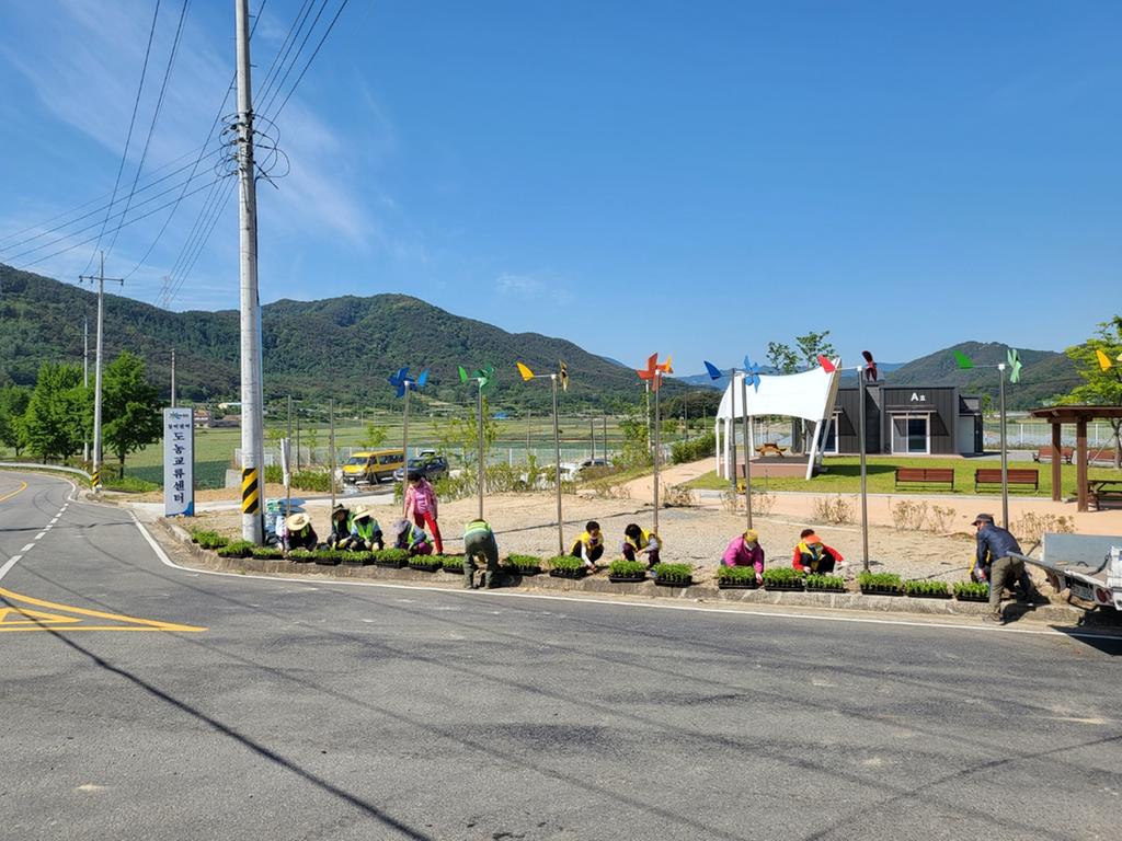 청덕면, 수변공원에 여름꽃 식재