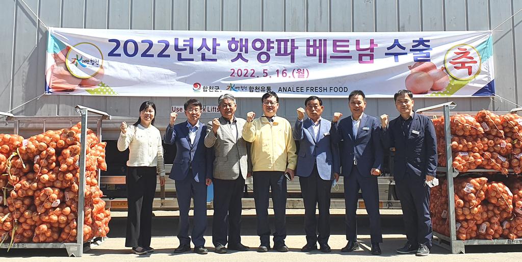 합천군, 햇양파 베트남 수출 순항중