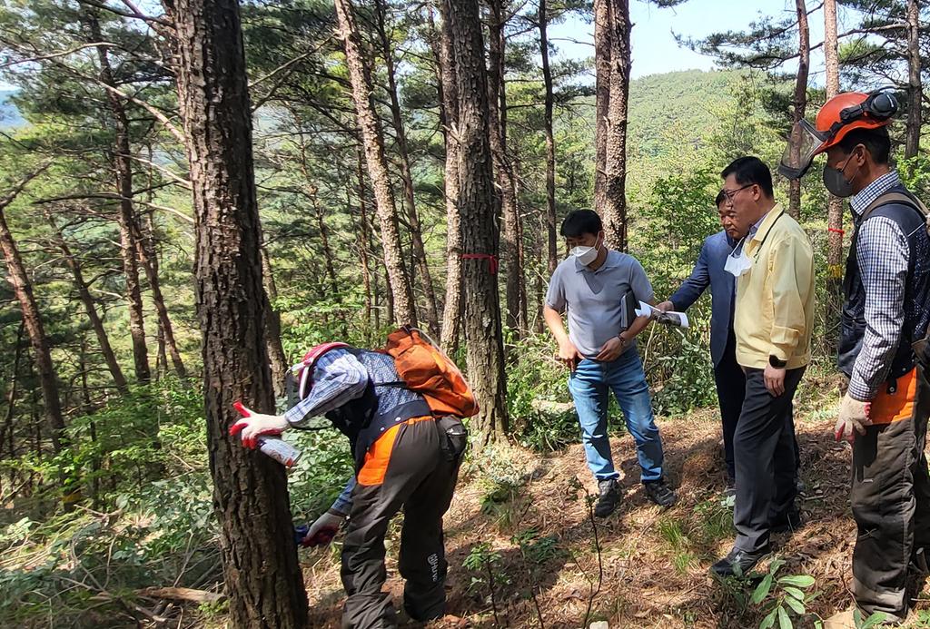 이선기 합천군수 권한대행, 재해위험 산림사업장 현장 방문