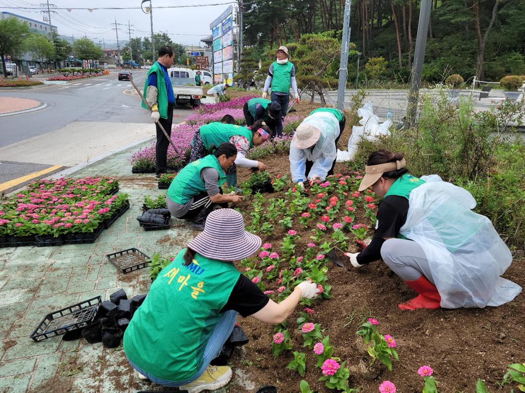 새마을운동 합천군지회, 형형색색 여름꽃 식재