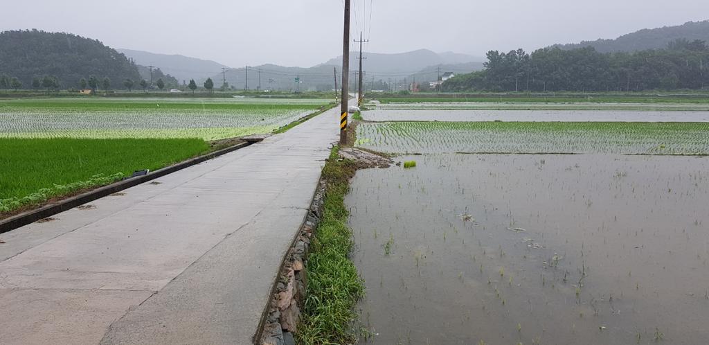 장마철 대비 농작물 및 시설물 관리 철저히 하세요