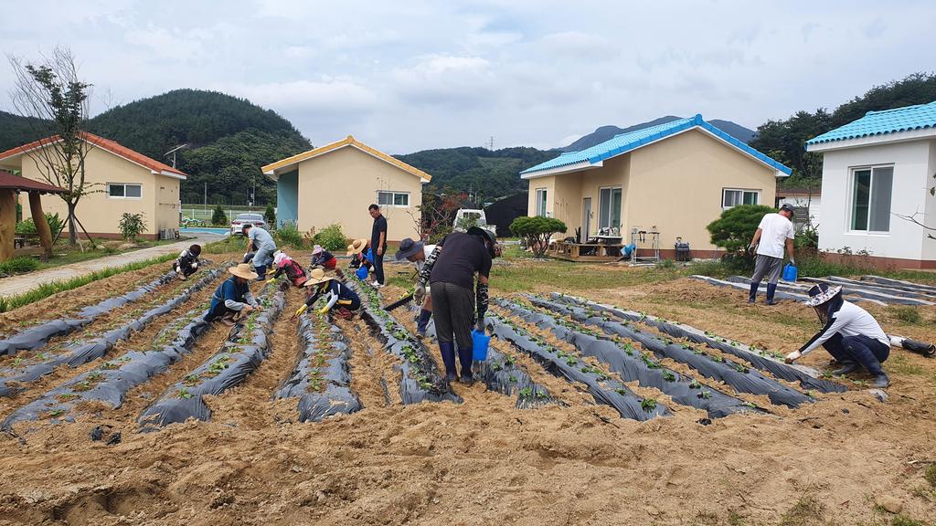 합천군농업창업단지 입교생 공동실습농장 운영 