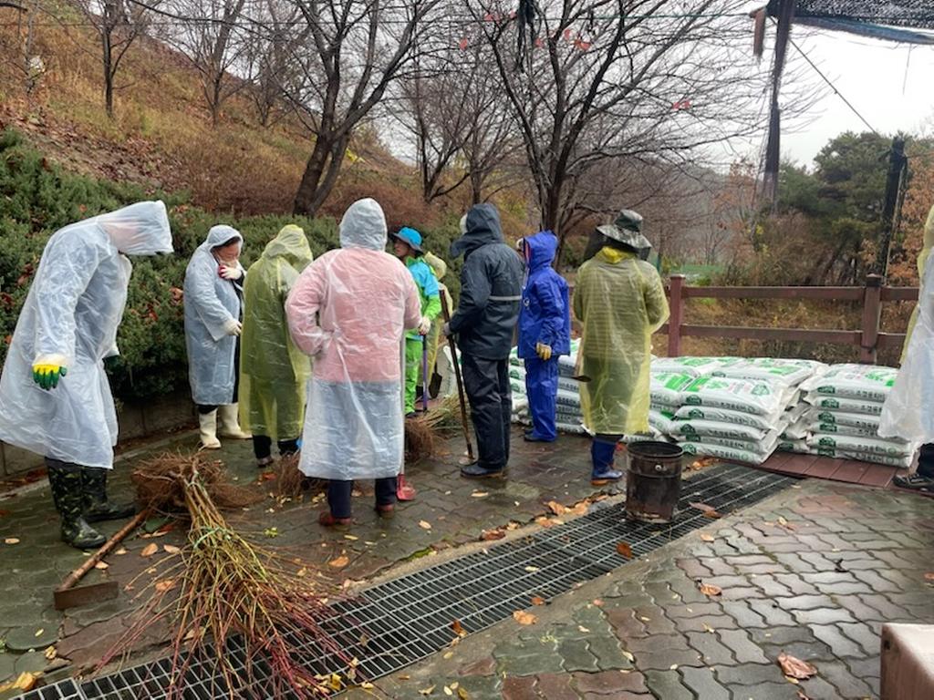 봉산면 주민자치위원회, 복사꽃거리 조성사업 나무심기 실시
