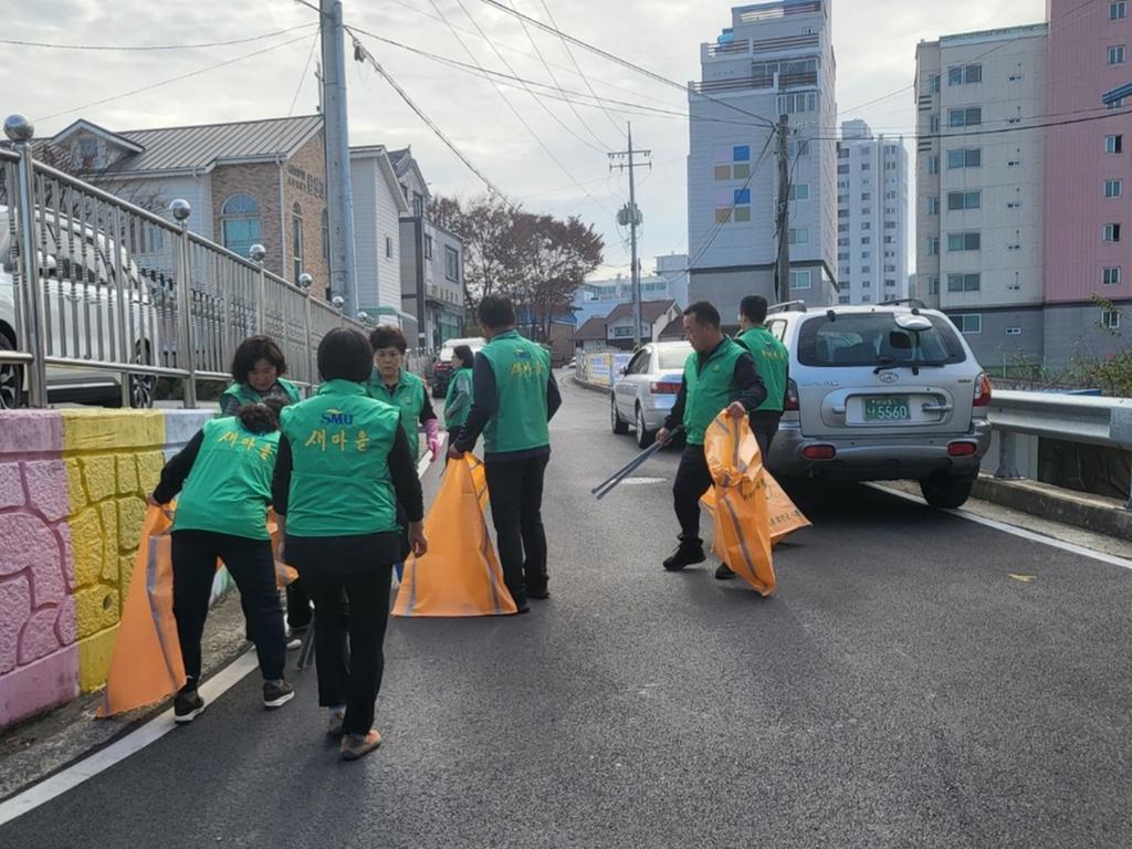 합천읍새마을협의회·부녀회, 사랑의 환경정화 활동 실시