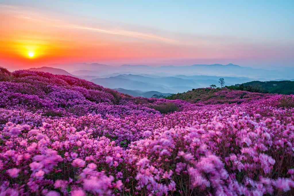 합천 황매산군립공원 ‘한국관광 100선’ 2회 연속 선정