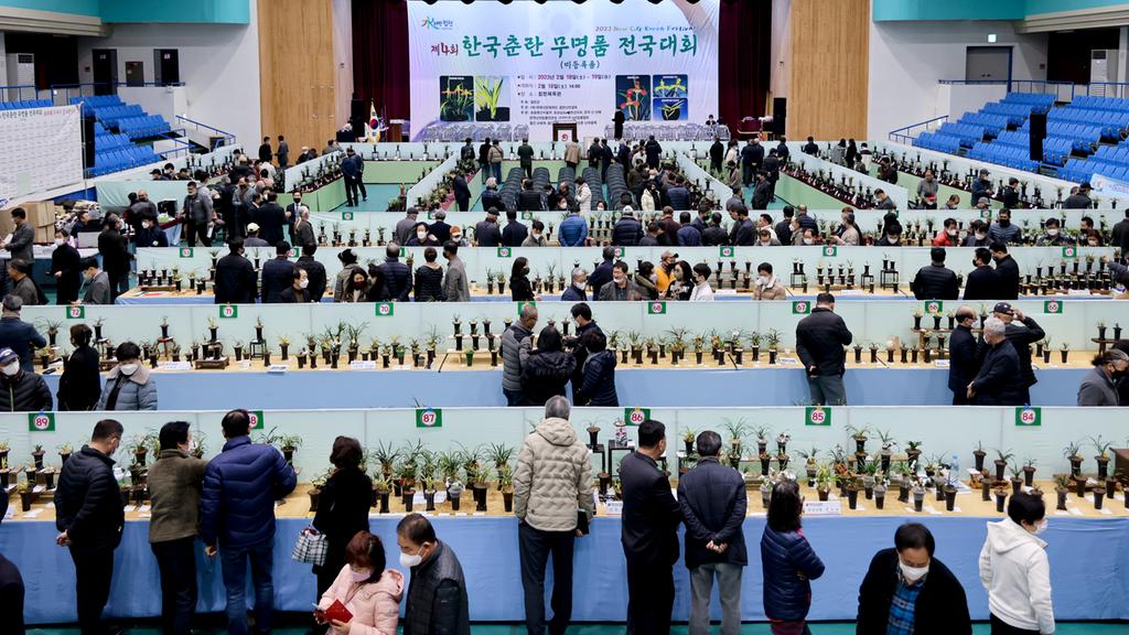 명품 보다 귀한 무명품 춘란, 합천에 다 모였다