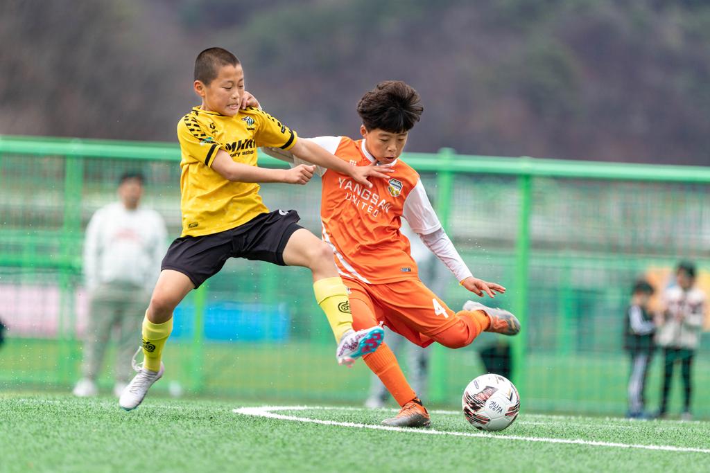 합천군, 경남축구협회장기 유소년 축구대회 성료