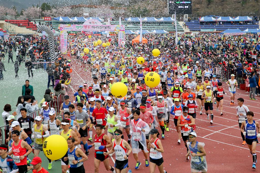 제22회 합천벚꽃마라톤대회, 역대 최다 참가신청