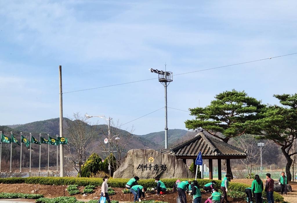 새마을운동합천군지회, 봄 맞이 꽃 심기 행사 