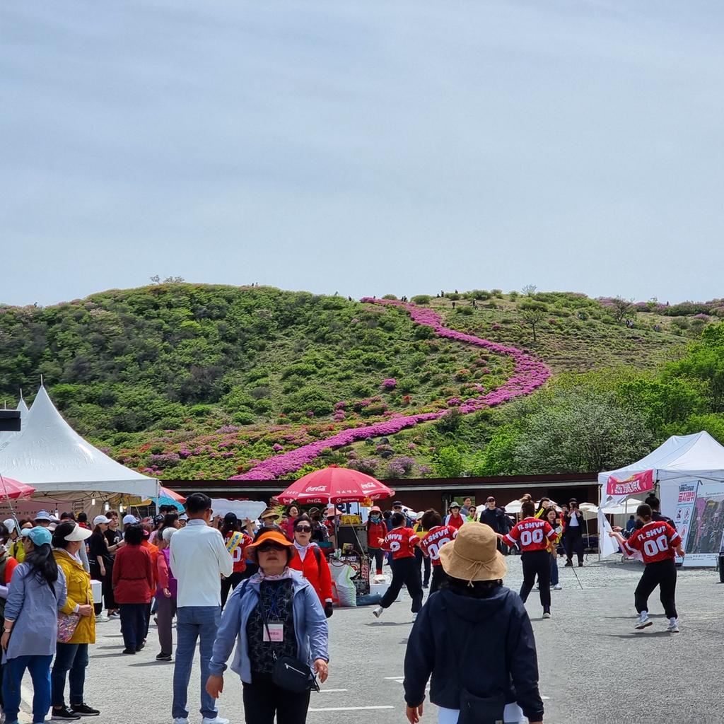 제27회 합천 황매산 철쭉제 성황리에 마무리