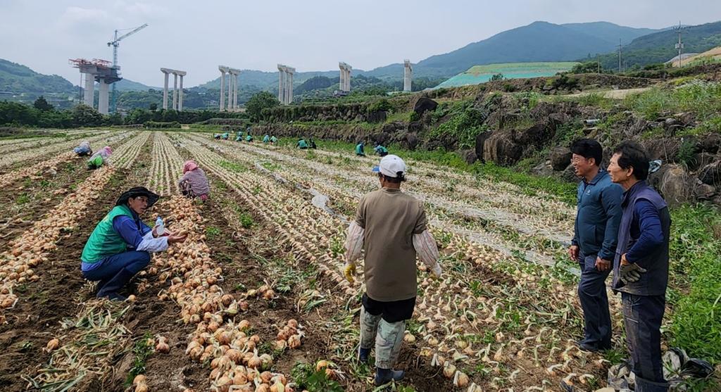 대병면 새마을협의회·부녀회, 농촌일손돕기 봉사활동 실시