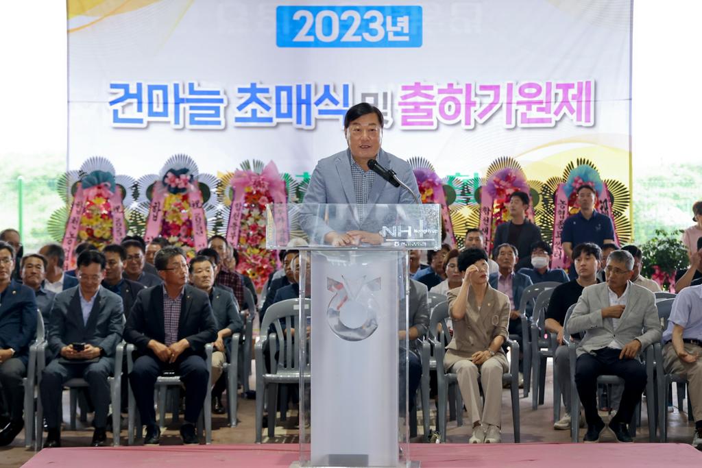 합천군, 건마늘 산지 경매 본격 실시 !