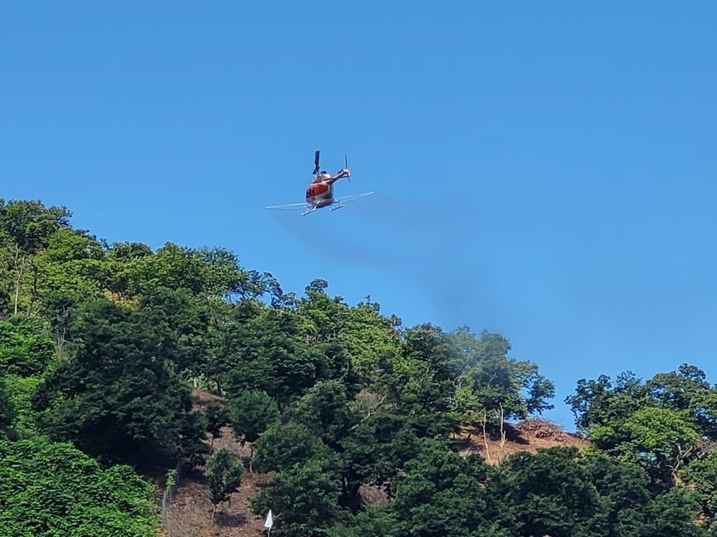 합천군, 밤나무 해충 항공방제 시행