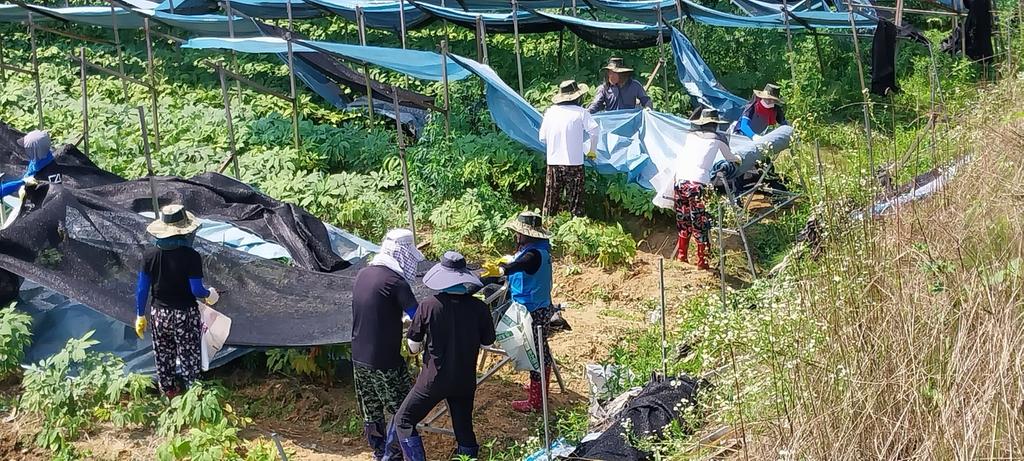 합천군의회, 경북 예천군 수해복구 자원봉사활동 동참