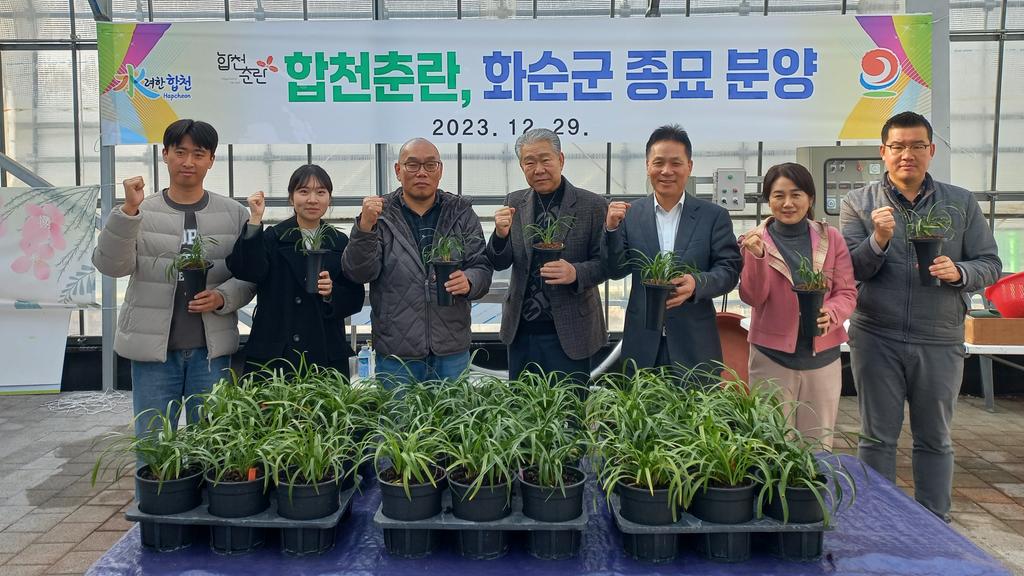 합천춘란, 전국 판매 개시