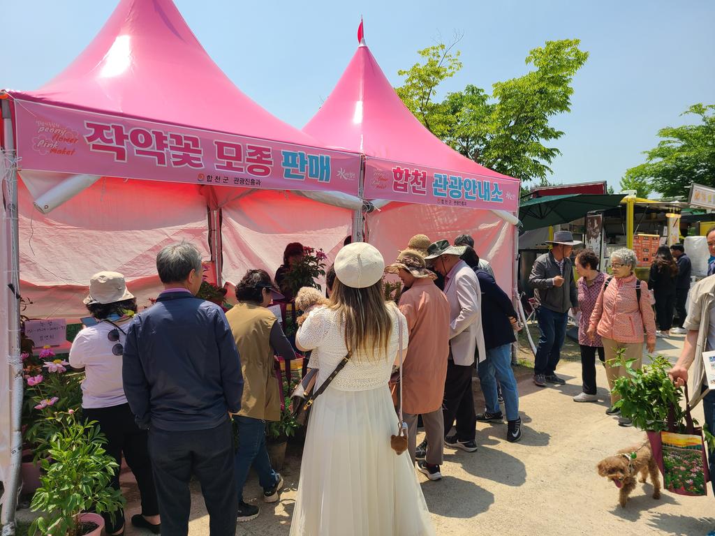 합천군, 작약재배단지‘핑크마켓’운영 