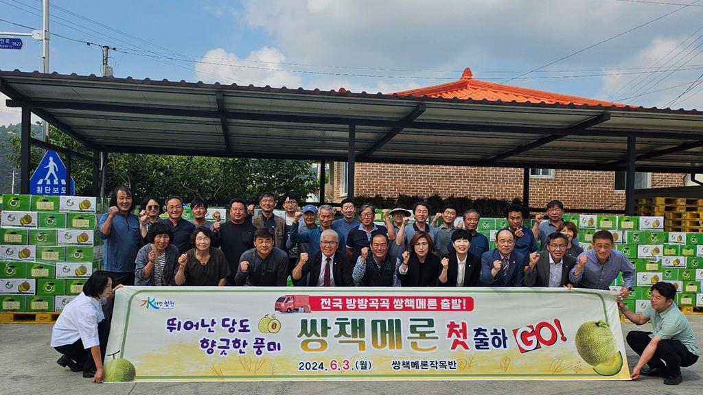 ‘고당도 향긋한 풍미’ 합천 쌍책멜론, 전국 본격 출하