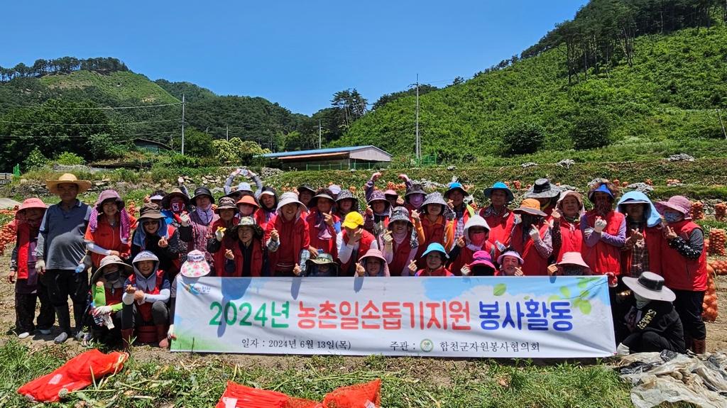 합천군자원봉사협의회, 양파 농가 농촌일손돕기 실시