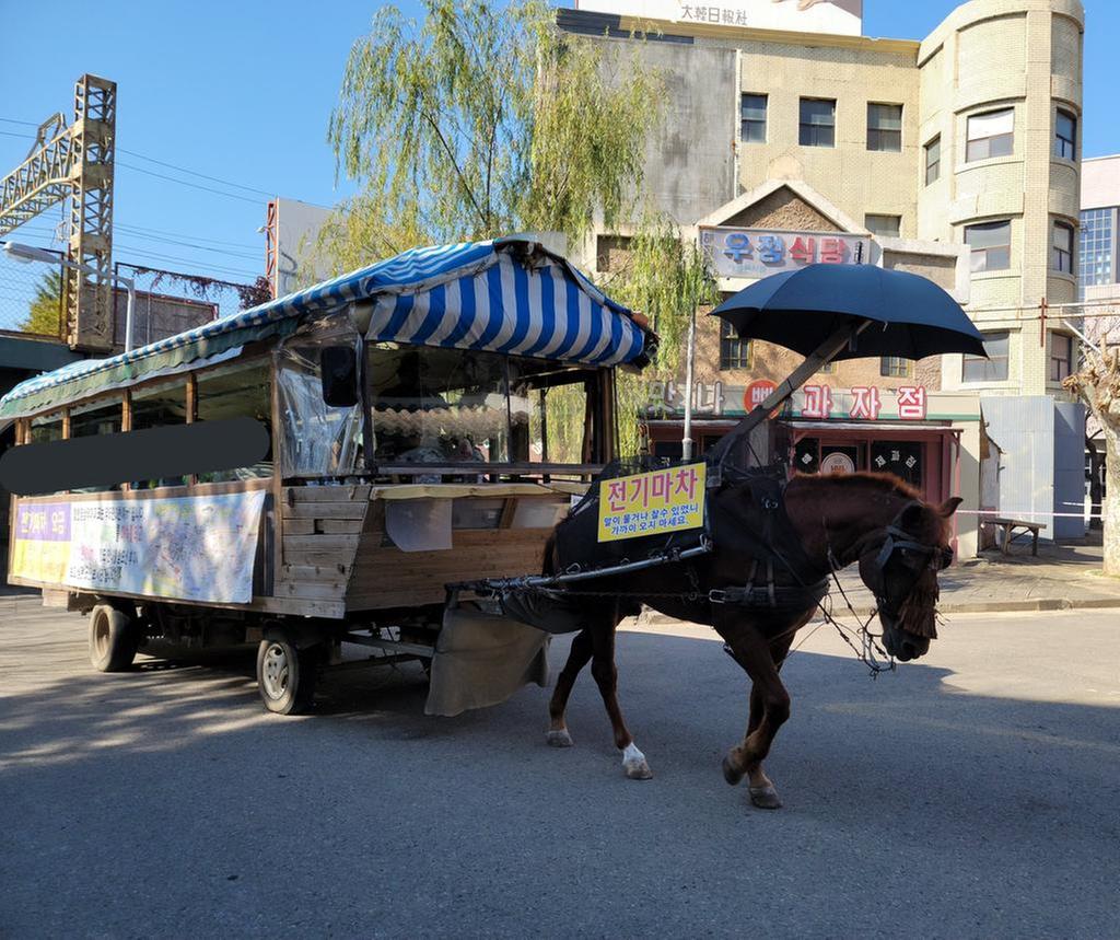 합천 영상테마파크 인력말 실제 사진입니다;