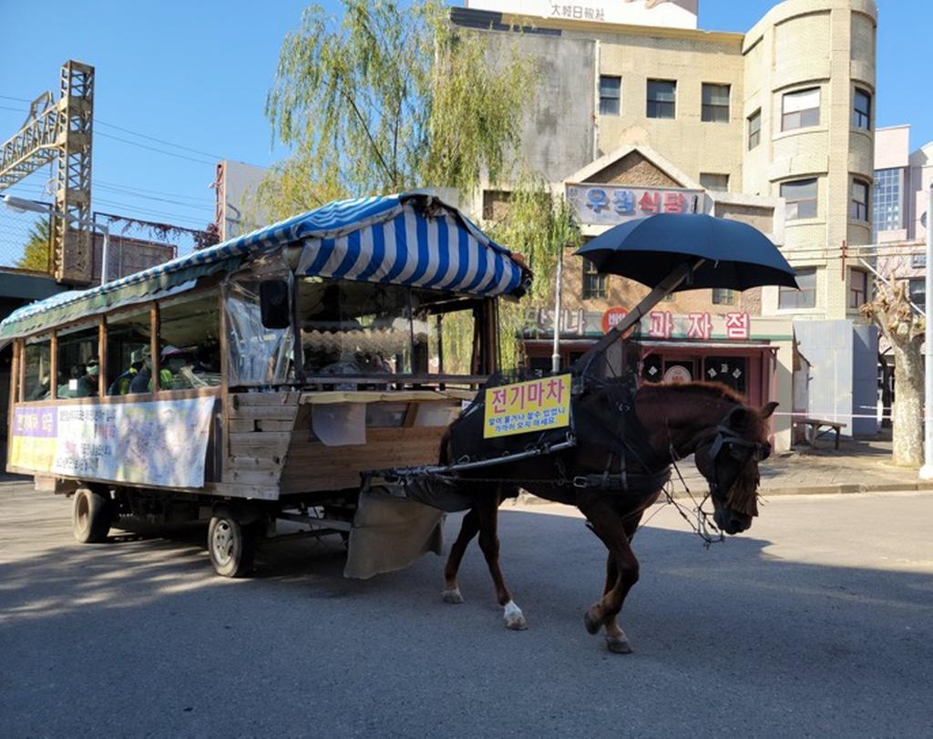 sns에서 퍼온 실제 마차관광의 모습입니다.