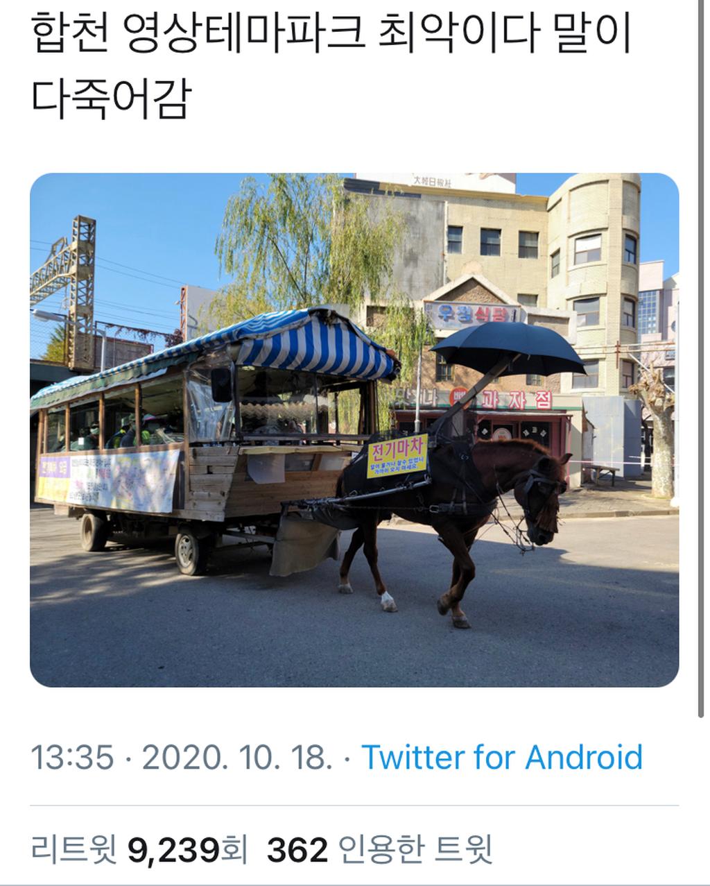2020. 10. 18. SNS에 게시된 합천군 영상테마파크 사진