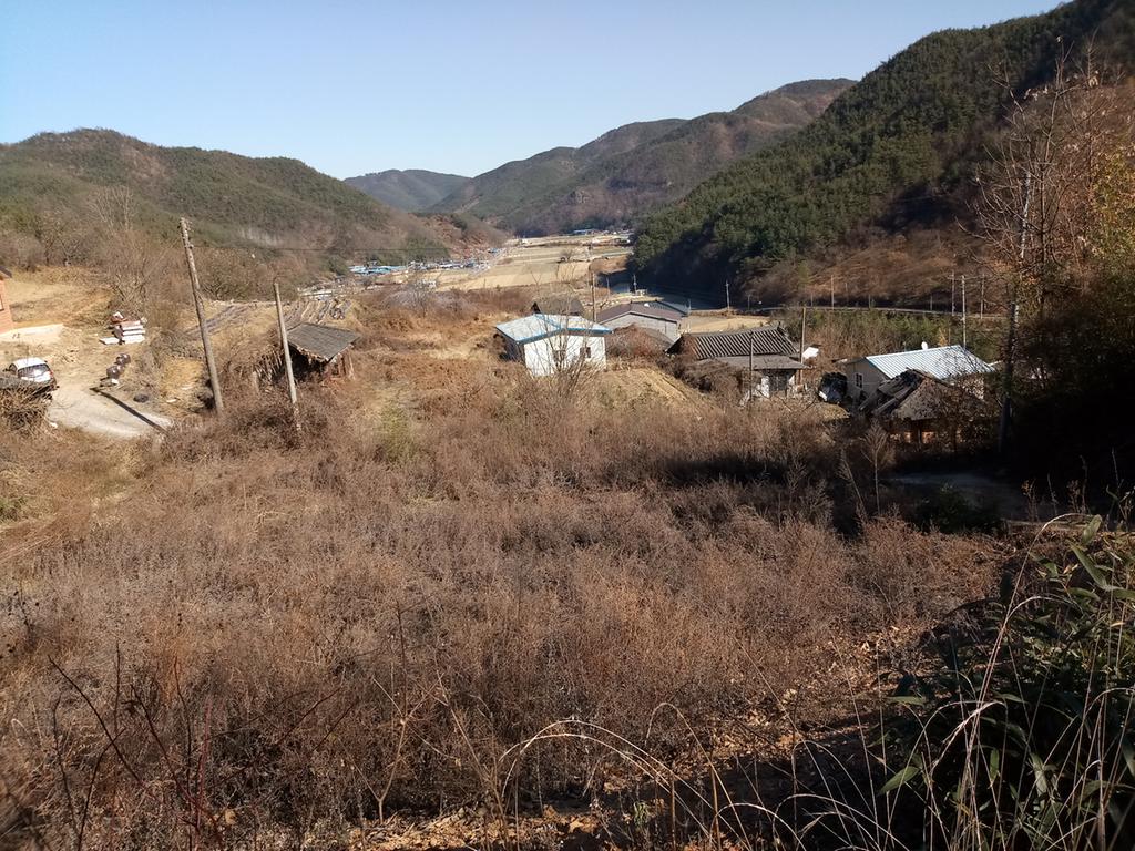 내려다본 전경