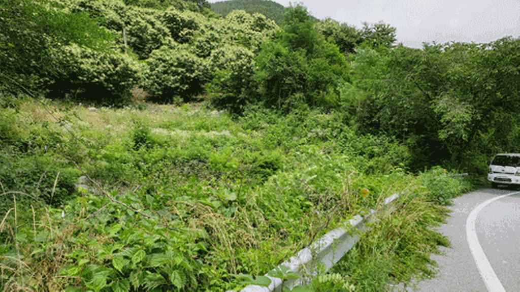 59번 국도접 토지 입니다.