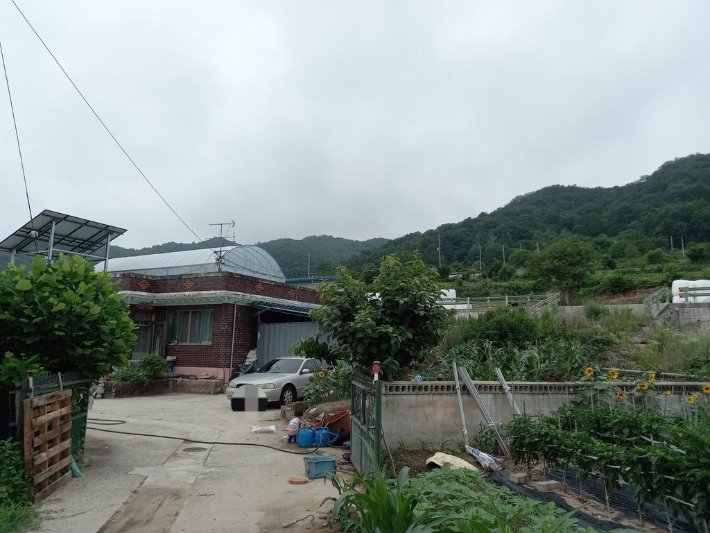 집앞 전경