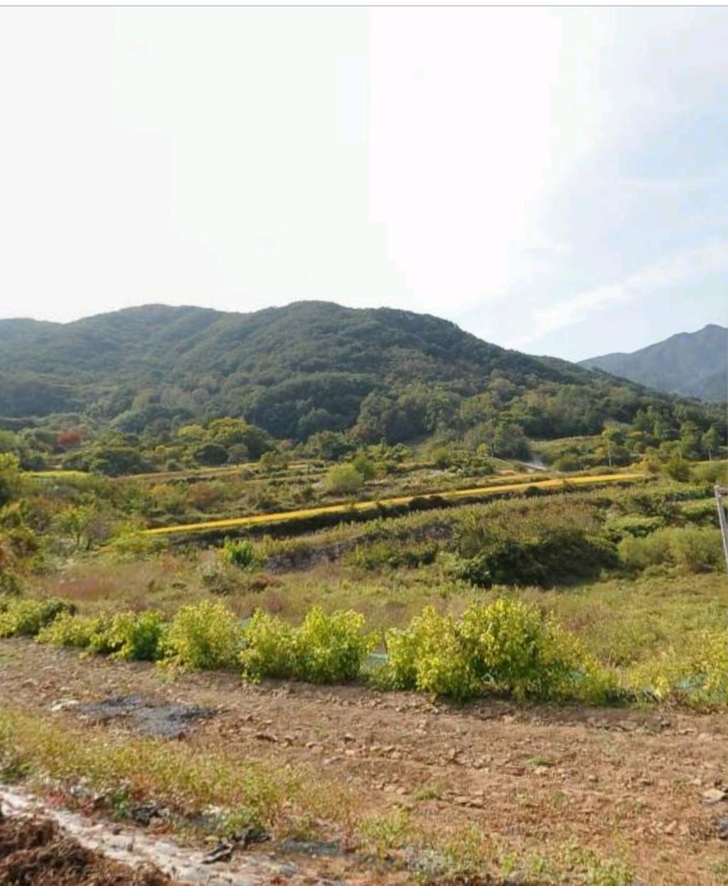 전망 좋은땅