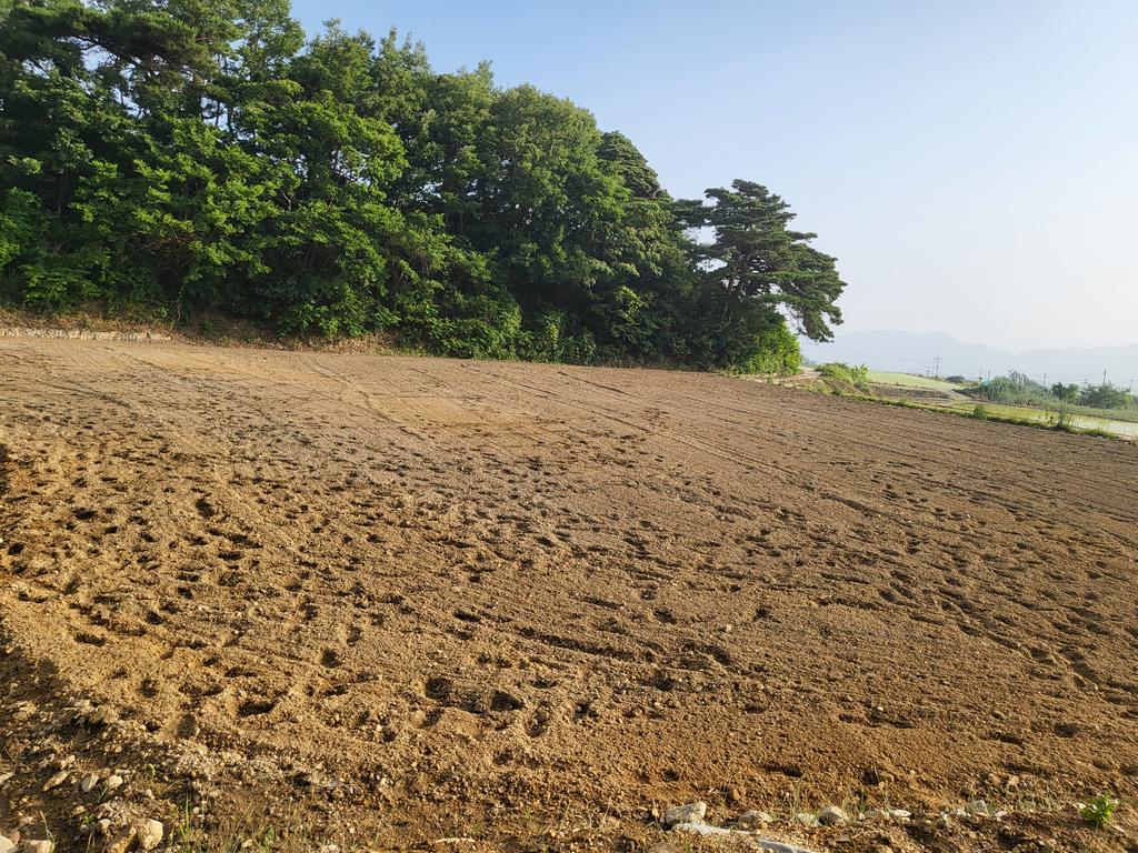 전원주택지로도 멋진전망.