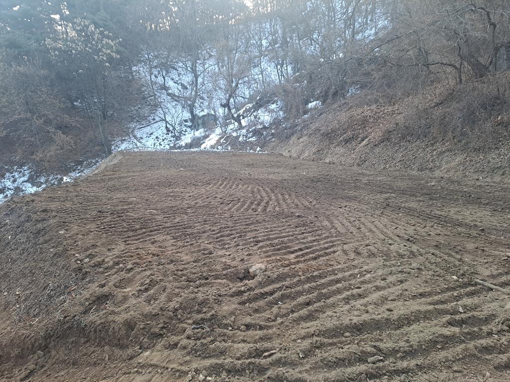 없음