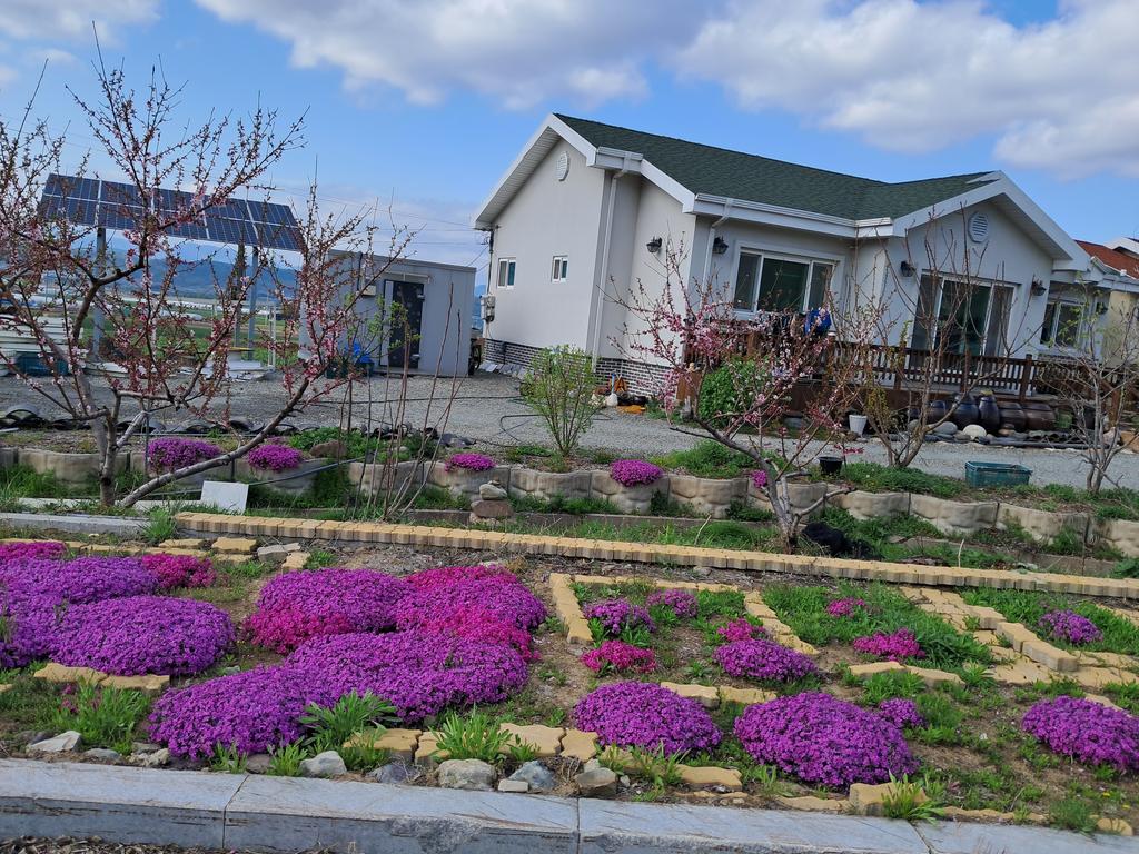 봄에 찍은 집앞전경