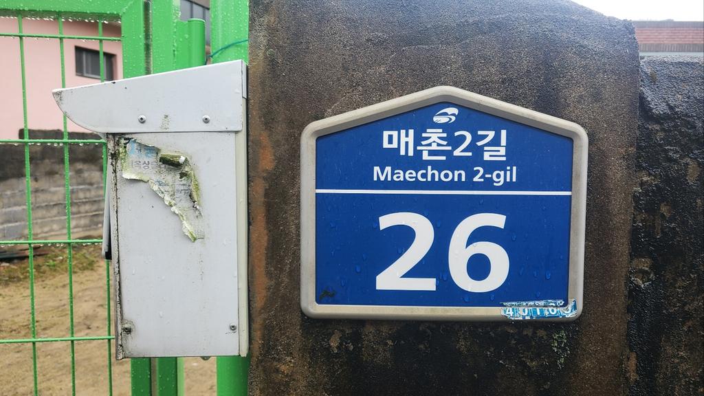 사진1