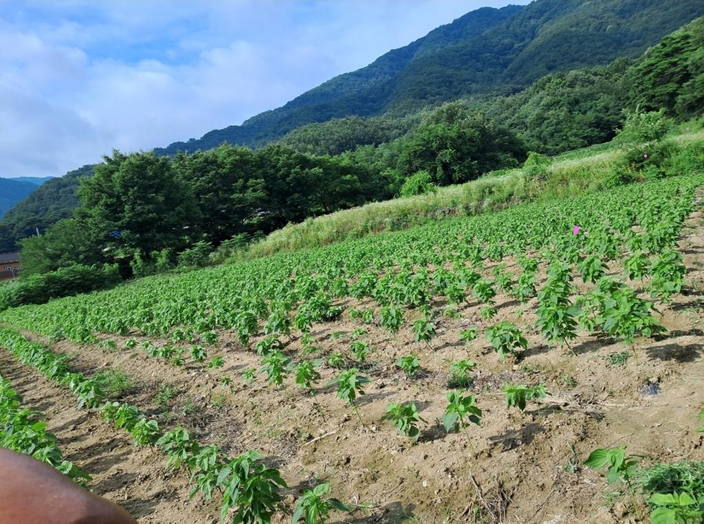 전망좋은 위치 입니다.