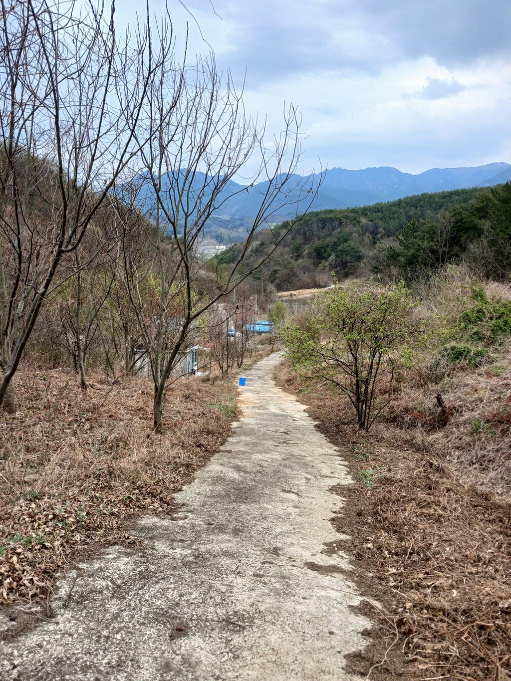 산 중턱에서 내려다본 풍경