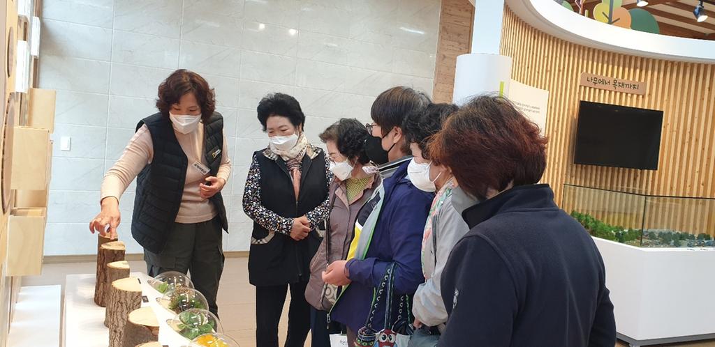 합천군의 다양한 목재에 대해 배우는 시간 -(1)