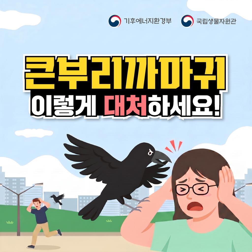 카드뉴스1