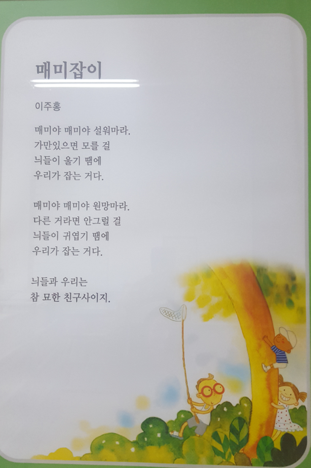 매미잡이