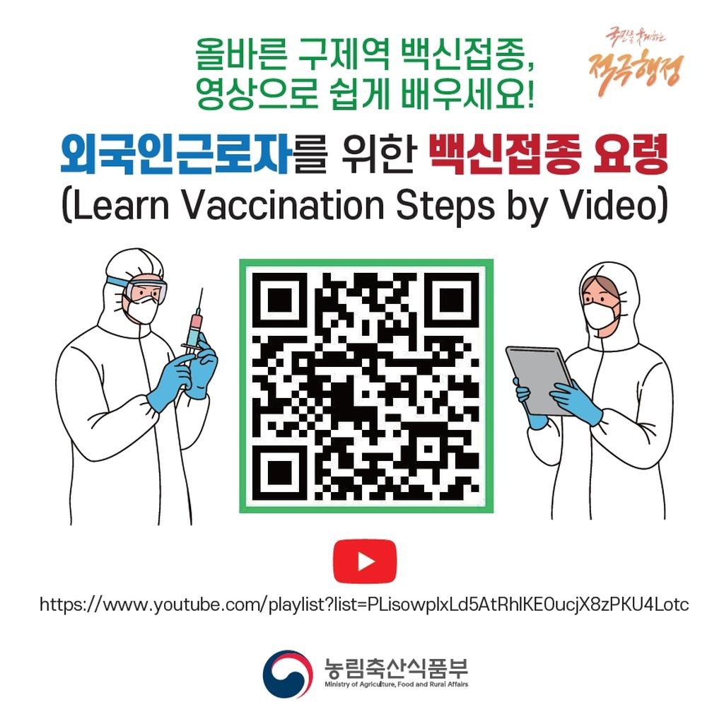 올바른 구제역 백신접종 요령 안내