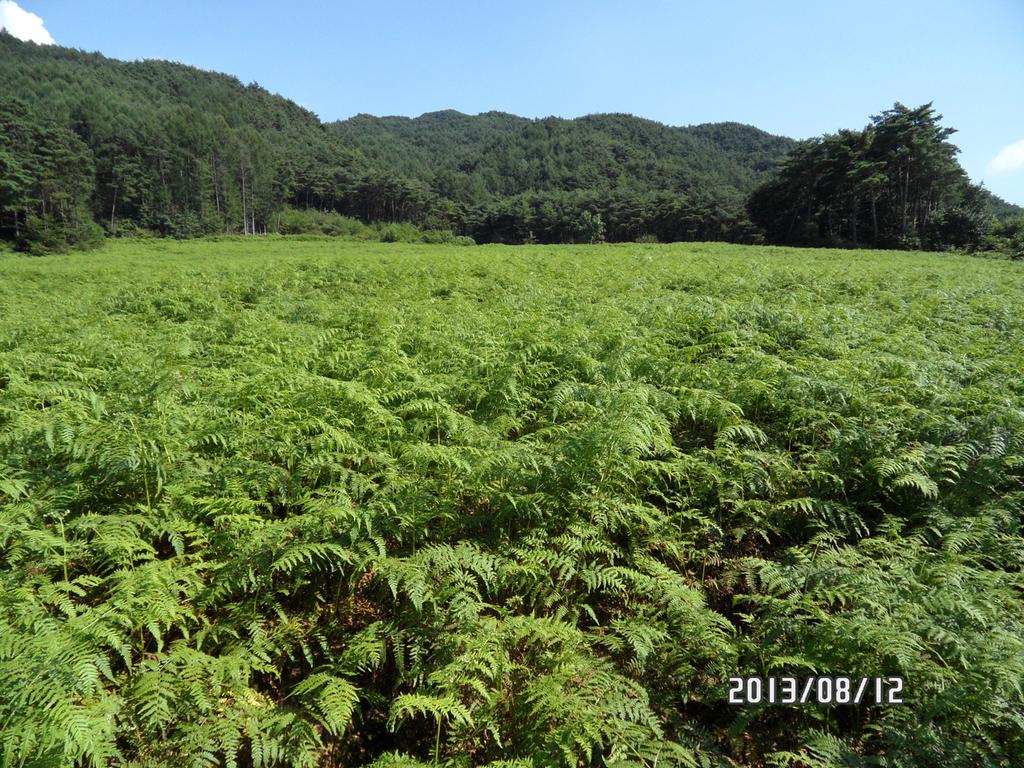 2013년 농장전경