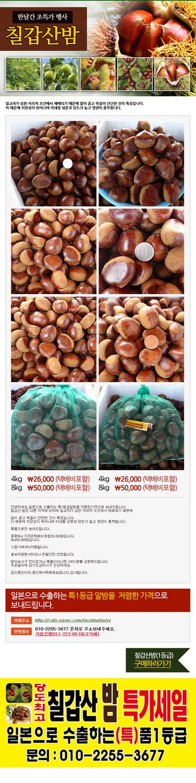 밤페이지홍보