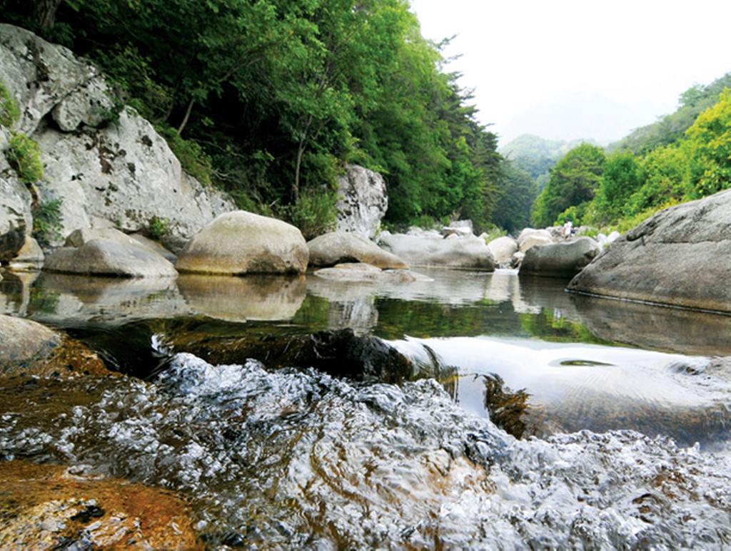 홍류동 소리길