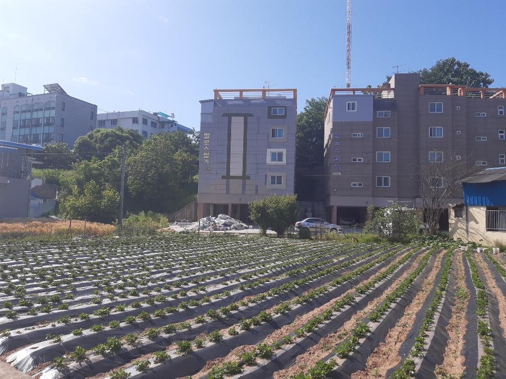 전체 사진