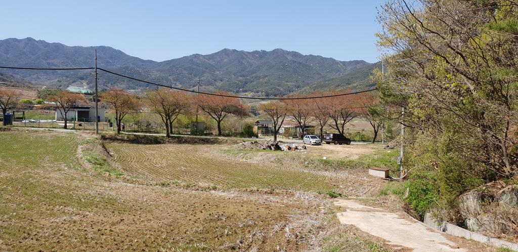 대병면 하금 698m2