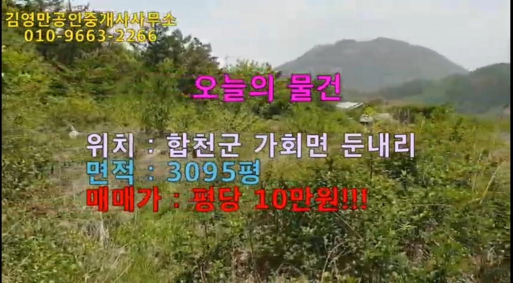 임야매매